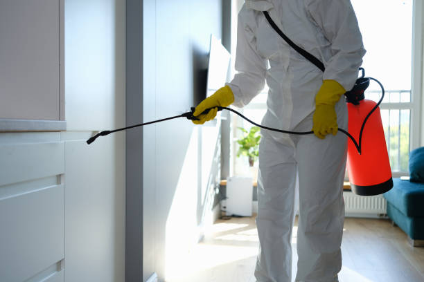 Professional Mold Removal in Chubbuck, ID